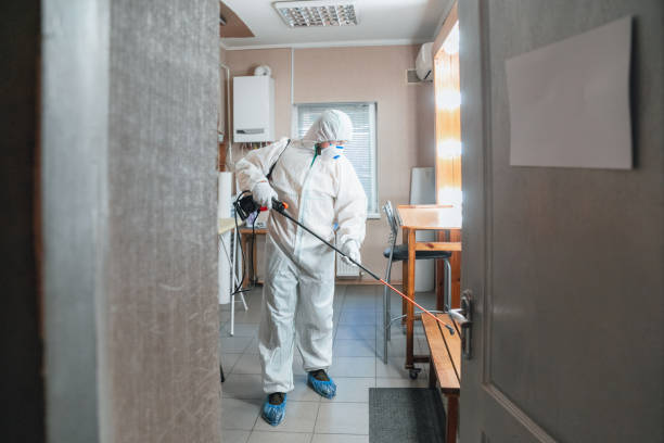 Best Emergency Mold Remediation  in Independence, KY