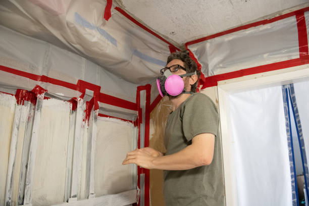 Mold Remediation for Vacation Homes in Independence, KY